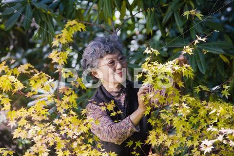Senior Japanese Woman Gardening