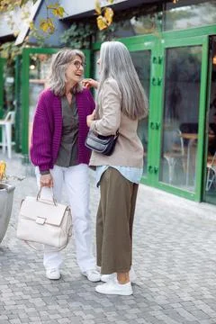 Senior lady talks to silver haired friend meeting on modern city street Foto stock