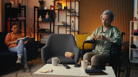 Senior lady in wheelchair knitting while her friend reads a book, hobby time Video stock 313926437