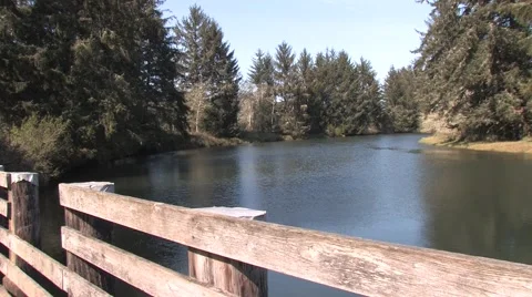 Senior Looking Over River Stock Footage 5436528