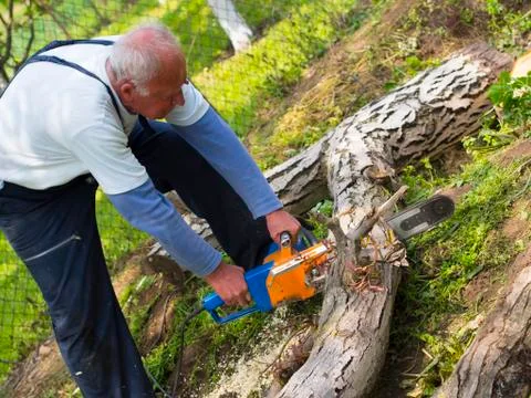 Senior lumberjack worker Stock Photos