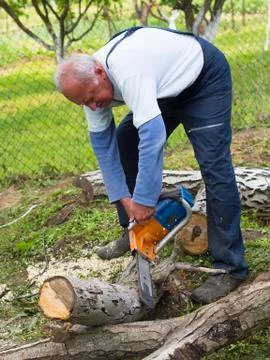 Senior lumberjack worker Stock Photos