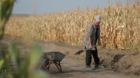 Senior Male Farmer at Work Loading Soil in Rural Field Stock Footage 282743268