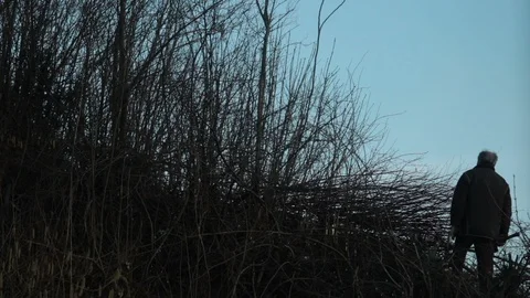 Senior man with an ax Stock Footage 103720618