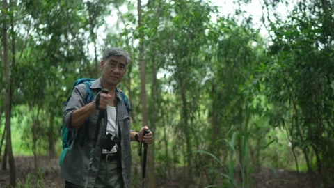 Senior man Backpacker walking hikking with trekking poles in the forest Stock Footage 160982483
