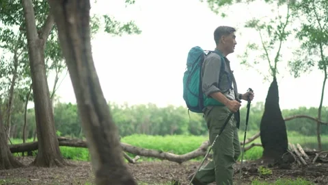 Senior man Backpacker walking with trekking poles in the forest Stock Footage 160982161
