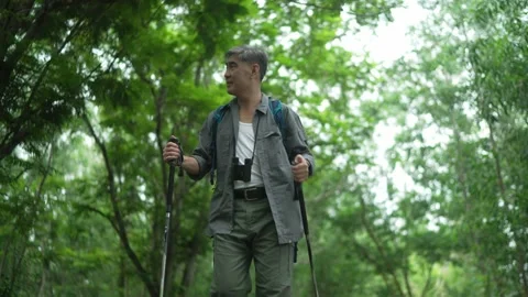 Senior man Backpacker walking with trekking poles in the forest Stock Footage 160982272