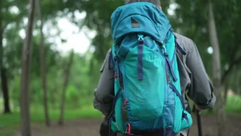 Senior man Backpacker walking with trekking poles in the forest Stock Footage 160982379