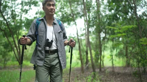 Senior man Backpacker walking with trekking poles in the forest Stock Footage 160982388