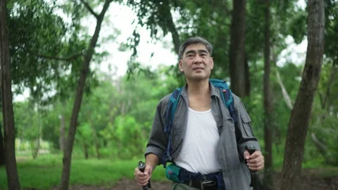 Senior man Backpacker walking with trekking poles in the forest Stock Footage 160982492