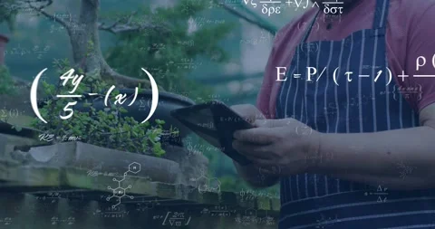 Senior man bringing handheld device near bonsai, tapping while formulas Видео 330188491