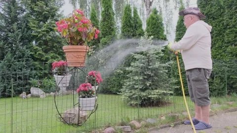 Senior man changes mode of sprinkler to water lawn in yard Stock Footage 139796978