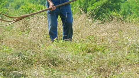 Senior man cuts the grass and hay the traditional way. 動画素材 115954290