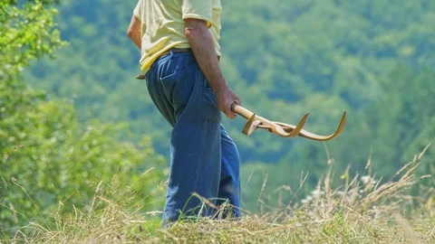 Senior man cuts the grass and hay the traditional way. 스톡 동영상 115954501
