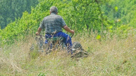 Senior man cuts the grass and hay with old tractor. Vidéo 115954661