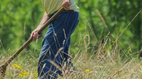 Senior man cuts the grass and hay the traditional way. 스톡 동영상 115955023