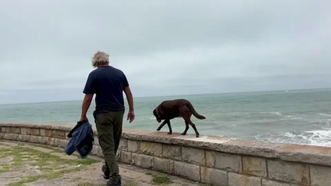 Senior man with dog Vídeos de archivo 296652487