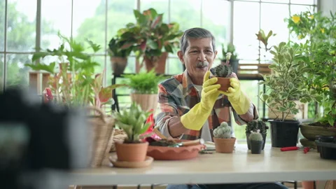 A senior man entrepreneur working with camera presents houseplants during onl 動画素材 140282182