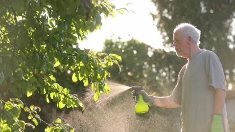 Senior man fertilizing fruit tree by bio organic liquid fertilizer for better 库存影片 252643570