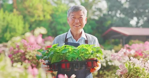Senior man in the garden Vídeo Stock 149103746