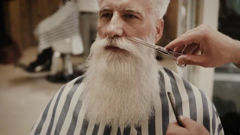 Senior man getting styling and trimming of his beard in the barbershop Stock-Footage 233627459