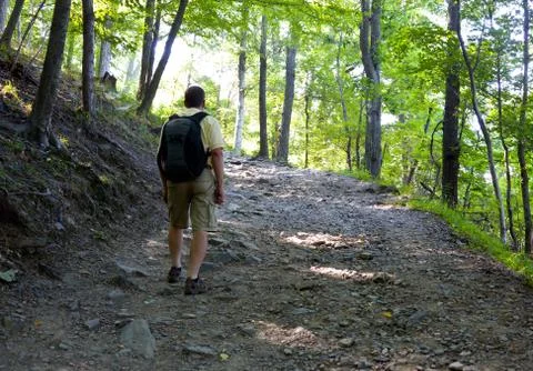Senior man hiking in forest with backpack Stock Photos