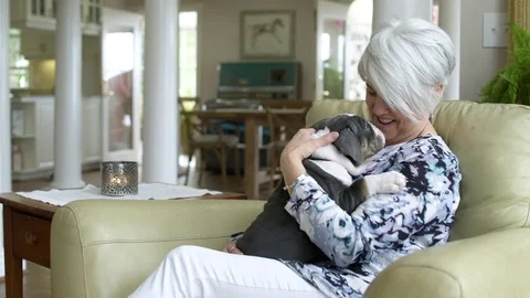 Senior man hugging a puppy while sitting in an armchair Stock Footage 83397810