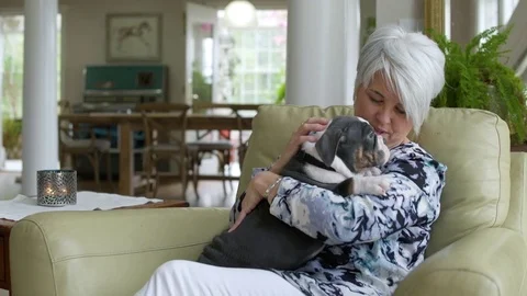Senior man hugging a puppy while sitting in an armchair Stock-Footage 83414244