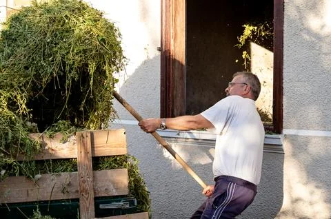 Senior man loading hay in front of his house on a sunny day Stock Photos