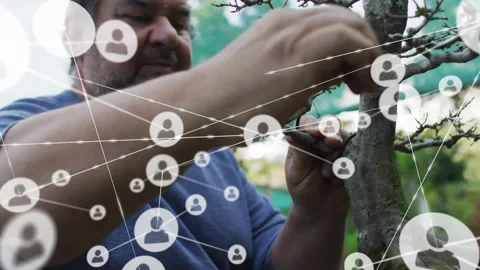 Senior man positioning branch, winding wire, shaping bonsai while network Stock Footage 330237651