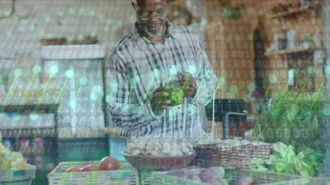 Senior man reaching bell pepper checking quality placing into market bag binary Stock Footage 333873512