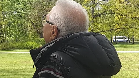 Senior man rests talking on mobile phone in beautiful park Stock Footage 112416743
