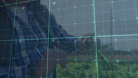 Senior man seeing vineyard cluster, pruning with shears for yield while grid Stock Footage 334036637