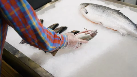 Senior man selecting fresh fish on ice at supermarket Stock Footage 309062684