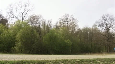 Senior man with a tandem Stock Footage 11292902