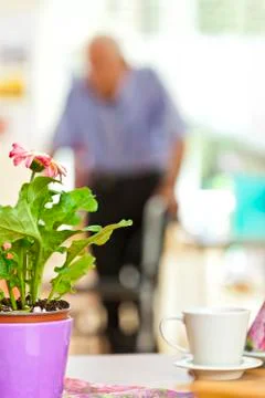 Senior man using a walker in a retirement home Stock Photos