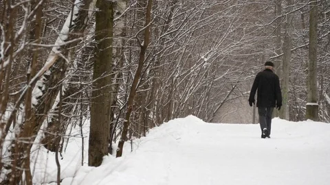 Senior Man A Walk In Winter Forest. In Forest Stock-Footage 72245479