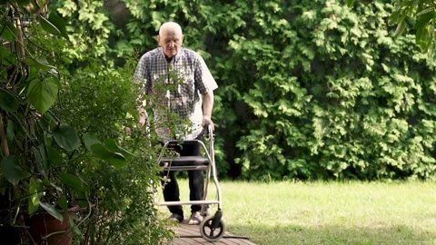 Senior man with walker in the garden Stock Footage 169168669