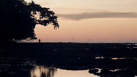 Senior Man Walking Into The Sunset with A Walking Stick in Silhouette Stock Footage 202294232