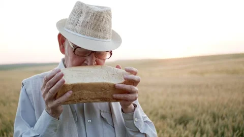 Senior man in wheat field, sniffs freshly baked bread and looks at camera 스톡 동영상 139152796