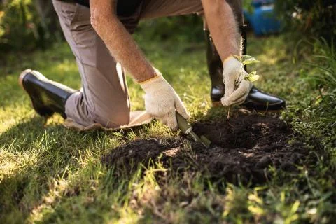Senior man in work clothes during farming Foto stock