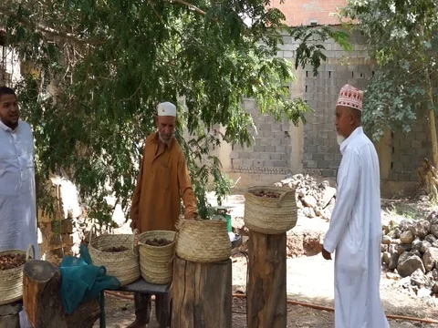 Senior men with dates fruit in basket Stock Footage 112610215