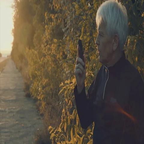 Senior Men do Phone call at Sunset 스톡 동영상 69306540