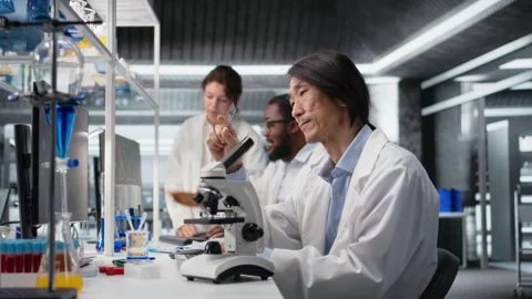 Senior microscopist examining microscope glass slide in laboratory Stock Footage 320146026