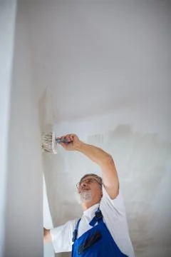 Senior painter man at work with a paint bucket, wall painting concept Photos