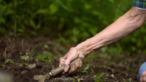 Senior persons hand digging the soil with trowel in slow motion Stock Footage 81311000