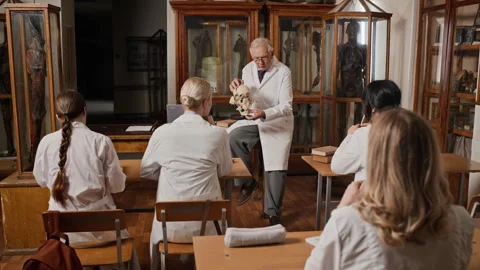 Senior Professor Explaining Human Skull Anatomy to Medical Students Stock Footage 341658197