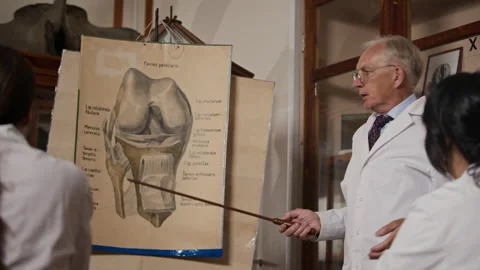 Senior Professor Explaining Knee Anatomy on Chart to Students Stock Footage 341652117
