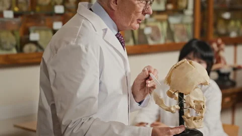 Senior Professor Explaining Skull Model to Asian Female Student Stock Footage 341655056