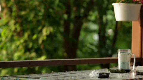 Senior reading book Stock-Footage 34433745